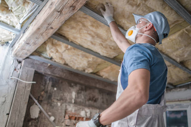 Best Wall Insulation Contractor  in Benton, AR